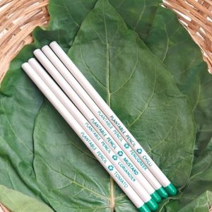 Plantable Eco-friendly Pencils (Pack of 5)