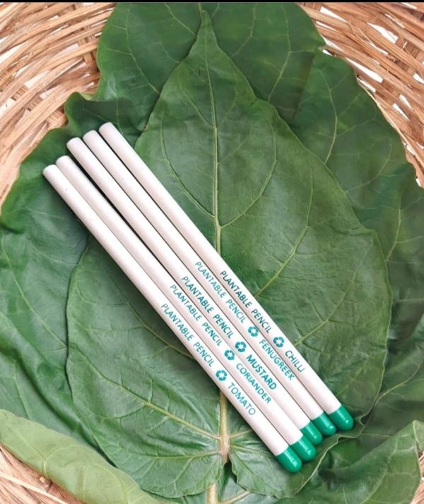 Plantable Eco-friendly Pencils (Pack of 5)