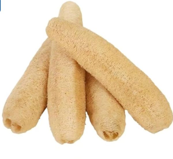 Cylindrical Loofah – Naturally Exfoliate for Radiant Skin